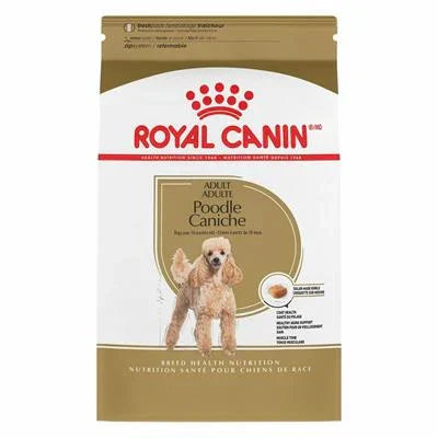 MANGIME SECCO CANI POODLE ROYAL CANIN GR 500
