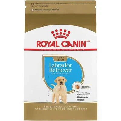 MANGIME SECCO CANI LABRADOR PUPPY ROYAL CANIN KG 12